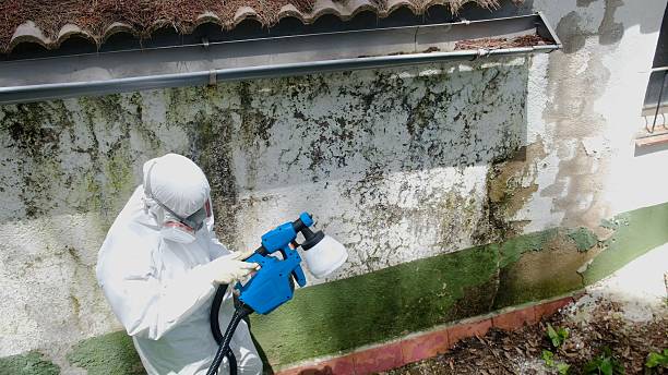 Top rated local Crawl Space Mold Remediation specialists in Bedford, TX
